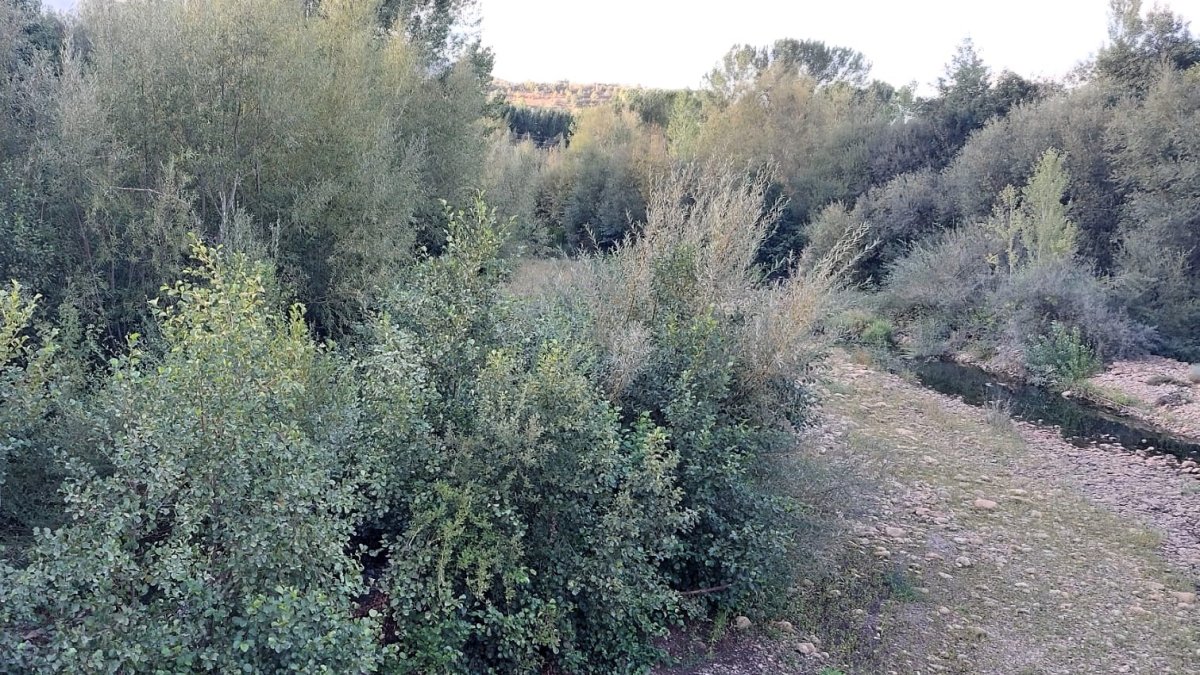 Tramo del río Boeza en Villaverde de los Cestos.