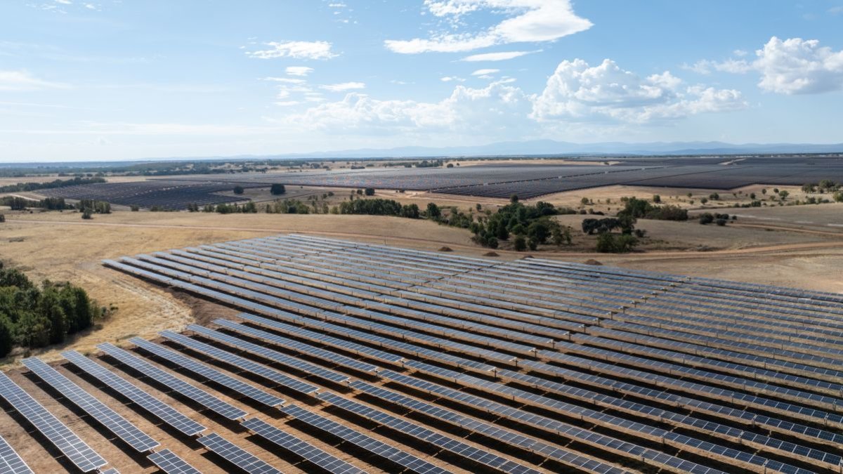 Entra en servicio en Benavides la planta Solar Villameca de 200 MW