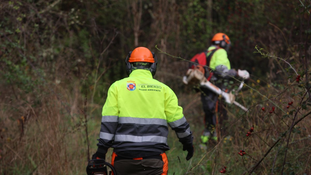 La Junta descarta por ahora que el Consejo Comarcal del Bierzo utilice Somacyl para gestionar las brigadas forestales