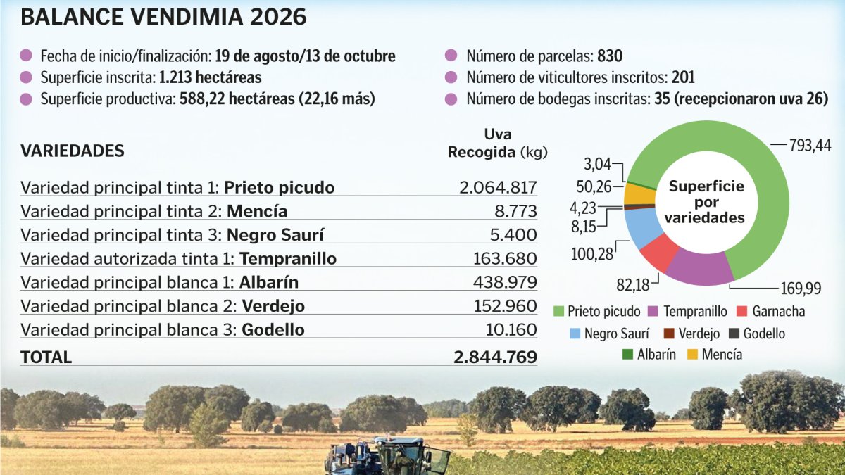 La DO León concluye una vendimia de 2,85 millones de kilos de muy buena uva mermada por el granizo y el calor
