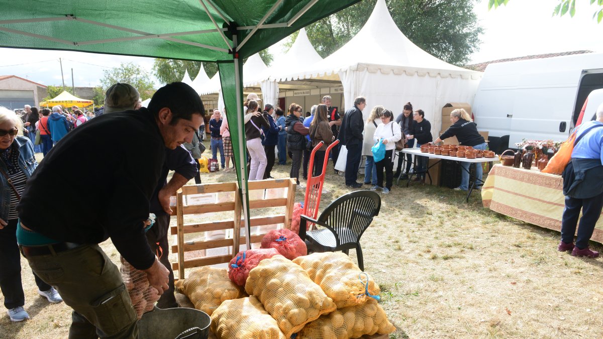 Chozas se sirve una feria de récord, en fotos