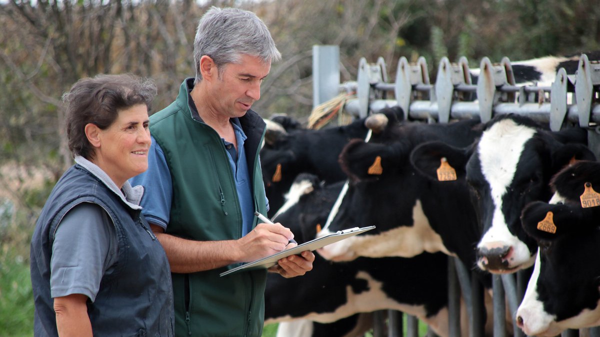 La falta de veterinarios en el medio rural amenaza el futuro de la ganadería extensiva en León