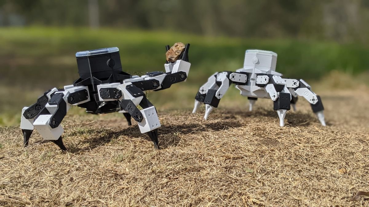 Dos robots hexápodos.