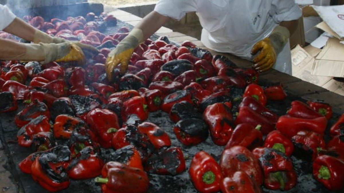 El 'oro rojo' de León que ha enamorado a los chefs Estrella Michelin: la joya del Bierzo que conquista la alta cocina