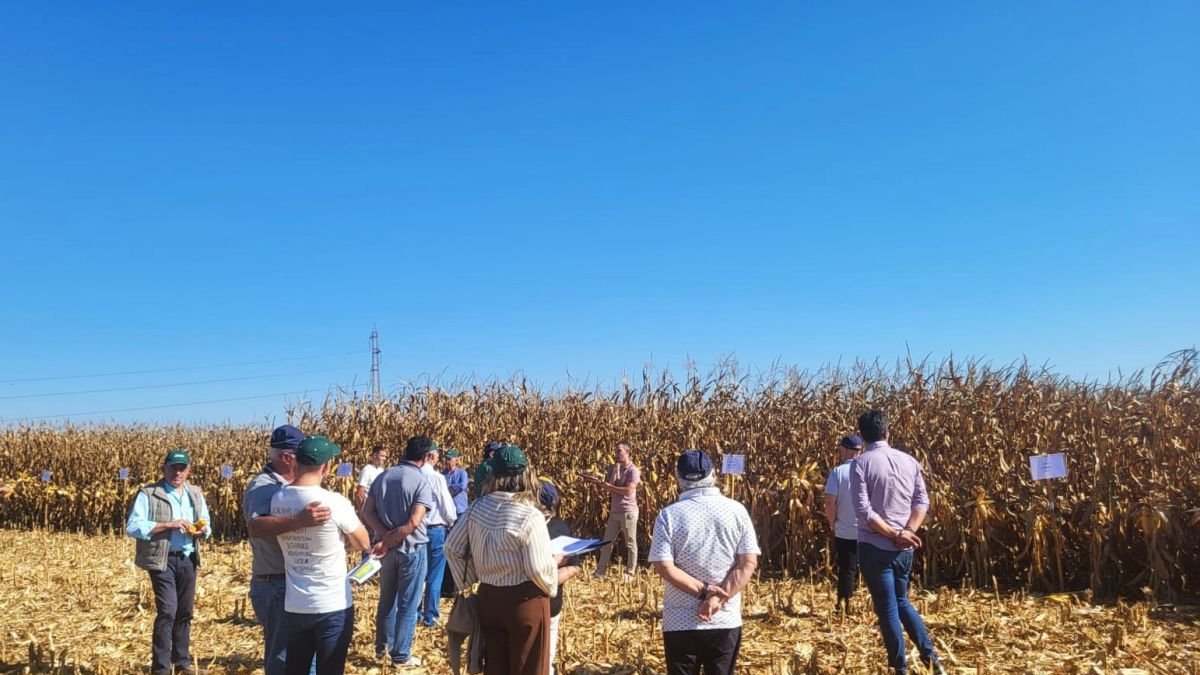 Cobadu acerca la innovación al cultivo del maíz leonés