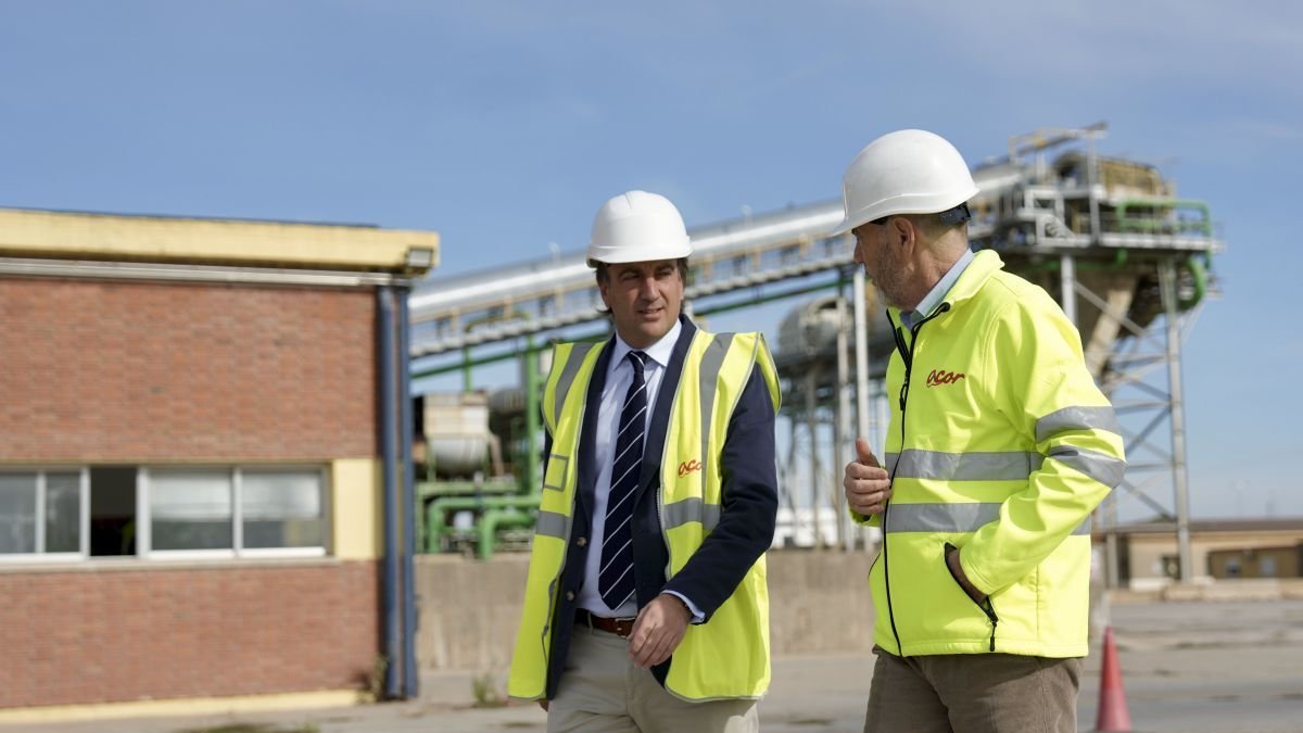 Acor inicia la campaña con buenas previsiones y 10.700 ha contratadas