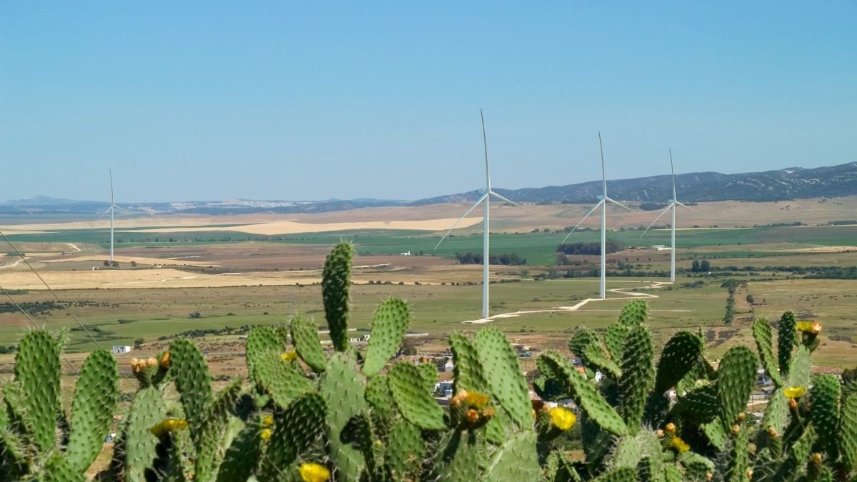 Las renovables rebajan la factura eléctrica en 7.589 millones de euros en 2025