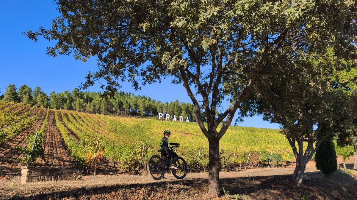 El enoturismo del Bierzo suma una nueva experiencia entre viñedos y bodegas