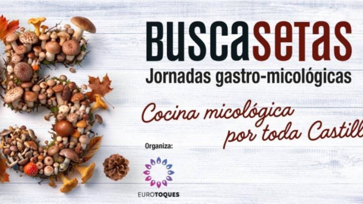 Cartel del 25 aniversario de las jornadas Buscasetas.