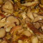 Los Boletus edulis son uno de los hongos más apreciados en la cocina. dl
