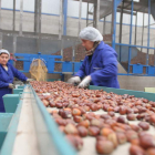 Instalaciones de manufactura de la castaña en Noceda del Bierzo, donde piden una marca de calidad para el producto.