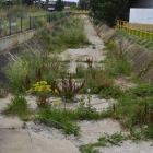 La maleza cubre las zonas de recreo habilitadas junto a la senda del Canal del Carbosillo.
