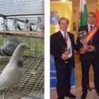 A la izquierda, paloma mensajera campeona de España. A la derecha, su dueño, Vicente Tascón Prieto.