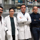 Los investigadores Paulo Henrique, Sara Mayo, Álvaro Rodríguez, Pedro Casquero y Guzmán Carro.
