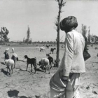 El nomadismo es un fenómeno universal. Rajastán (India)