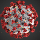 Una ilustración de la morfología ultraestructural de los coronavirus, una imagen del 12 de marzo y de sobra conocida ya en todo el mundo. CDC HANDOUT