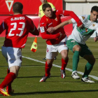 El Real Murcia es, junto con el Lugo, el único equipo que ha conseguido derrotar al Elche.