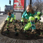 Operarias de Verde Leon trabajaron ayer por la mañana en la replantación de la zona de Guzmán.