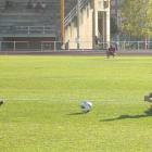 Santamaría ya se calza las botas de fútbol para entrenar.
