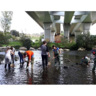 Alumnos del instituto en una práctica de Zoología en el río Sil, bajo el puente del Centenario, en octubre pasado. IES GIL Y CARRASCO