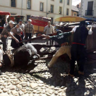 El ímpetu del equino desplazó las barreras.