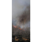 Un incendio de esta primavera en Santovenia del Monte.