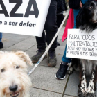 Manifestación contra el maltrato animal. FERNANDO OTERO