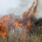 Un incendio de matorrales y monte bajo se origina en los terrenos situados una vez pasado el polígono industrial de león, en Onzonilla. MARCIANO PÉREZ