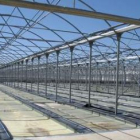 La planta de cogeneración entrará en funcionamiento entre febrero y marzo de 2009