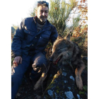 Un magnífico ejemplar de lobo abatido.