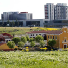 El barrio de La Inmaculada en una imagen de archivo. RAMIRO