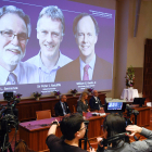 Los estadounidenses Kaelin y Semenza y el británico Ratcliffe ganan el Nobel de Medicina