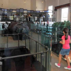 Imagen de archivo de una visita al Museo Nacional de la Energía en la antigua térmica.