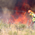 Desde el pasado lunes las llamas han devorado más de ocho mil hectáreas de los municipios de Truchas y Encinedo, en La Cabrera. RAMIRO
