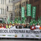 El campo leonés salió en octubre del año pasado a las calles de León para denunciar la situación del