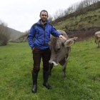 Francisco Javier Álvarez, junto a tres de sus vacas, en el monte de El Otero. JESÚS