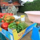 La esencia de la feria: pimientos, una balanza, una mesa y a vender.