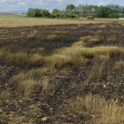 Una de las fincas quemadas por el fuego del viernes en Villalmán. ACACIO