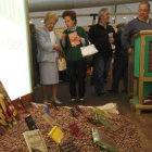 La feria está compuesta por más de 20 expositores locales, nacionales e internacionales