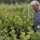 Pedro Casis, que ayer murió a los 77 años, pasea por La Vieja, la viña a la que dio tanta vida. RAMIRO