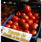 Este año se han producido 16.000 kilos de tomates en la zona.