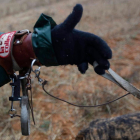 Detalle del enganche de los galgos.