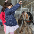 Además de rastro de jabalí hubo una exposición canina. BARREDO