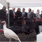 Los pavos volvieron a ser protagonistas de la feria. El delegado conversa con la consejera, en presencia de Redondo y Rodríguez.
