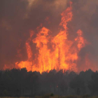 Las llamas, de enorme altura, arrasan los pinares.