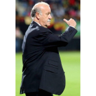 Vicente del Bosque dirigendo a la selección durante un lance del partido.