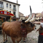 FOTOS: Carros y pendones desfilan por León.