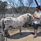 Un vecino de Viure muestra uno de los caballos que pudo sobrevivir al grave incendio.