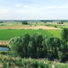 Fincas de cultivo en el municipio de Valderas.