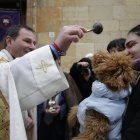 Bendición de los animales por San Antón en San Marcelo.